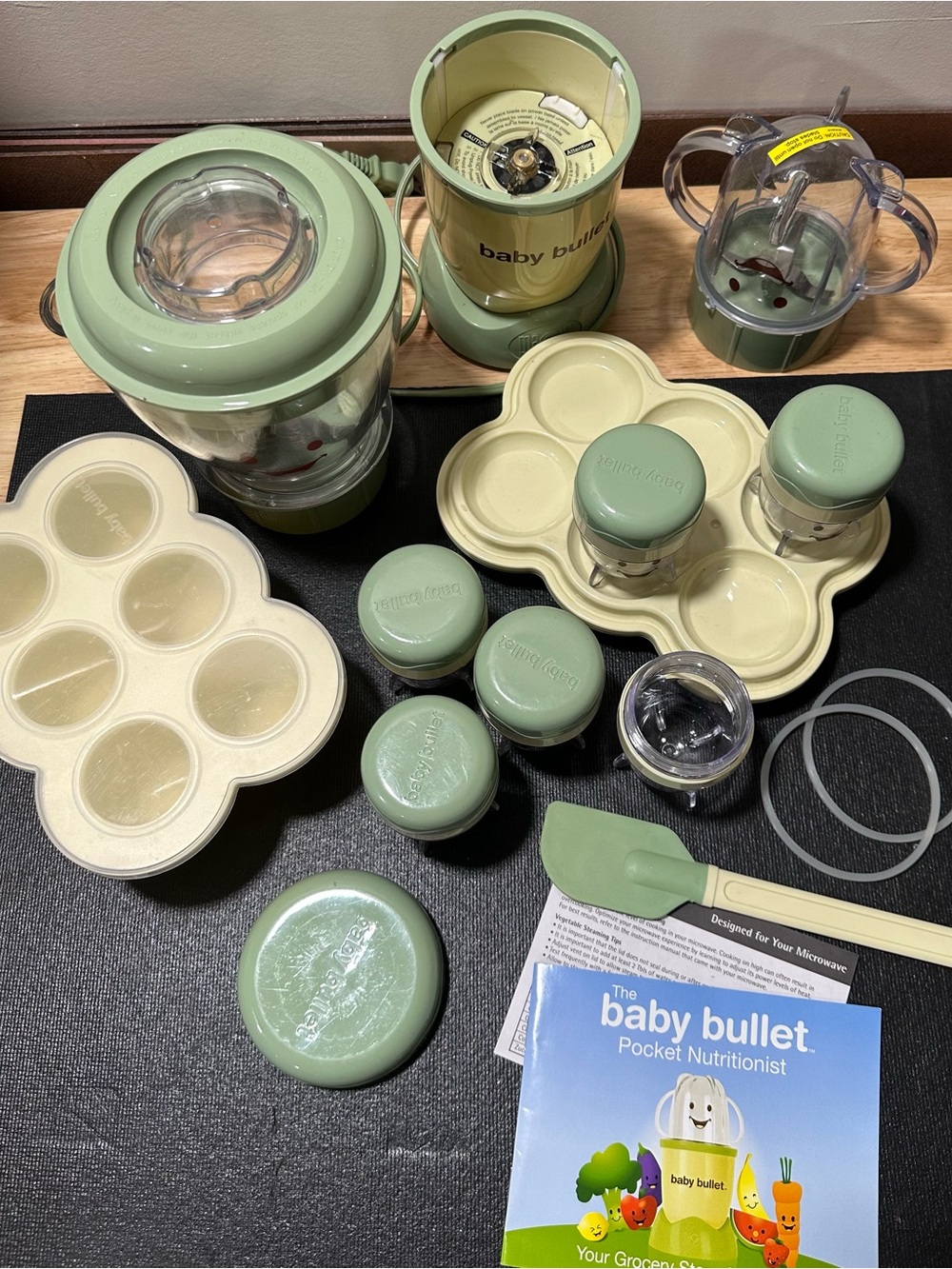 Baby Bullet Infant Food Prep Set in Sage Green